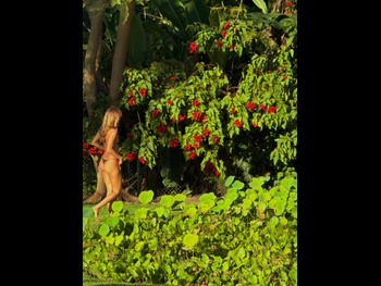  alt="Inka Williams"