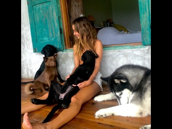  alt="Inka Williams"