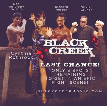 Cynthia Rothrock