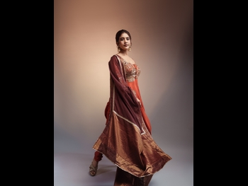 alt="Nabha Natesh"