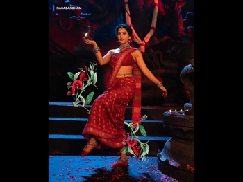  alt="Nabha Natesh"