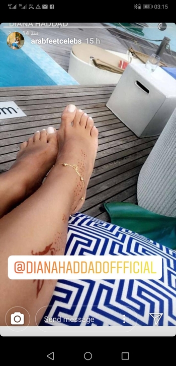 Diana Haddad