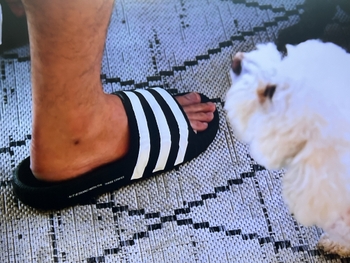 Tom Schwartz