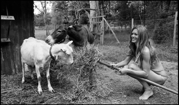 Brigitte Bardot