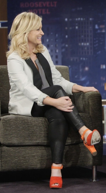Amy Poehler