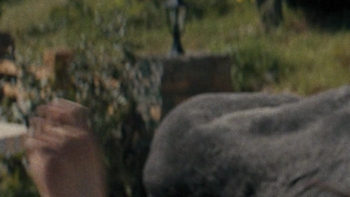 Will Poulter