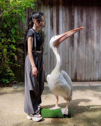 Mika Nakashima