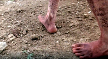 Brendan Fraser
