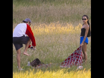 alt="Harry Styles"