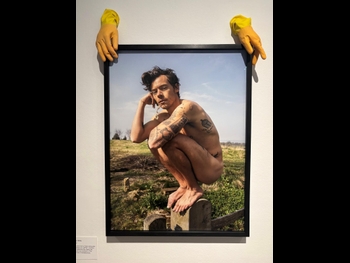  alt="Harry Styles"