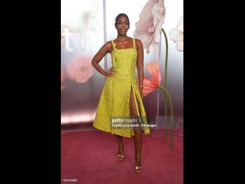  alt="Nafessa Williams"