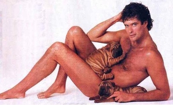 David Hasselhoff