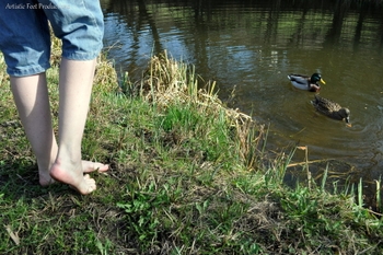 Foxy Feet