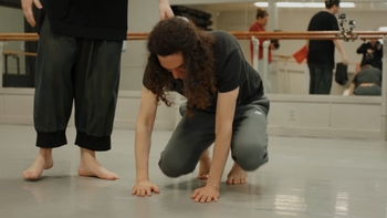 Dan Avidan