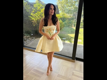  alt="Rachel Bilson"