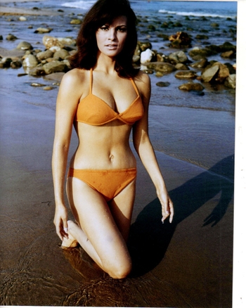 Raquel Welch