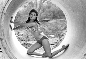 Raquel Welch