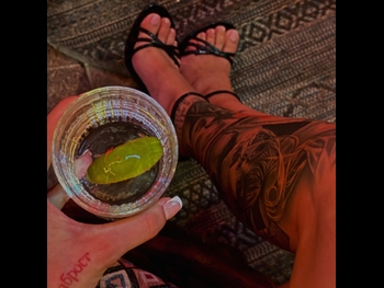  alt="Tara Simov"