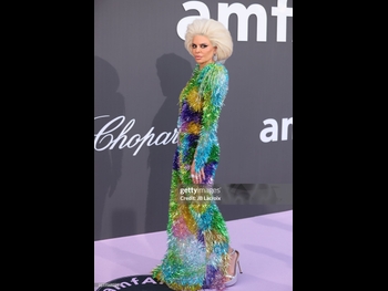  alt="Lisa Rinna (i)"