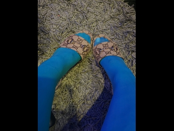  alt=