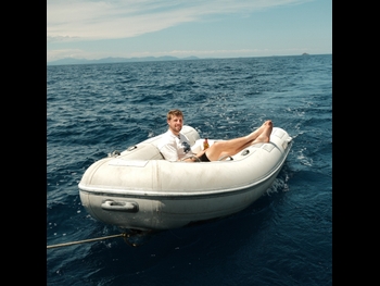  alt="Harold Lewis"
