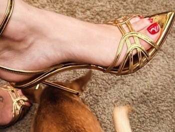 Alexandra Panagiotarou