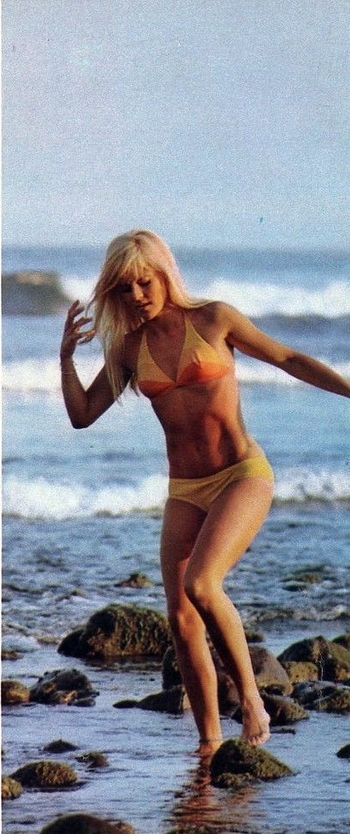 Sylvie Vartan