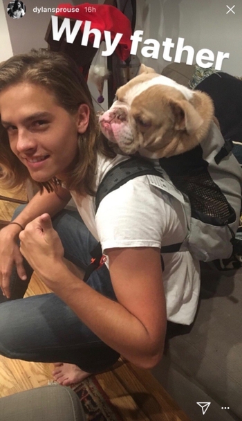 Dylan Sprouse