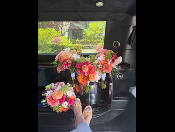  alt="Sara Waisglass"
