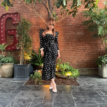 Elena Satine