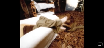 Tori Amos