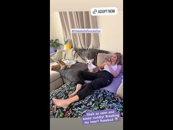  alt="Amanda Clapham"