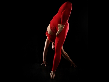 alt="Tonya Kay"