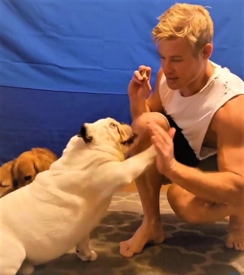 Trevor Donovan