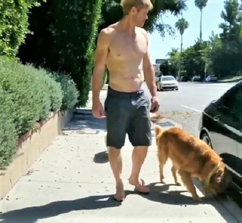 Trevor Donovan