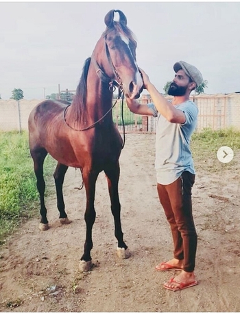 Ravindra Jadeja