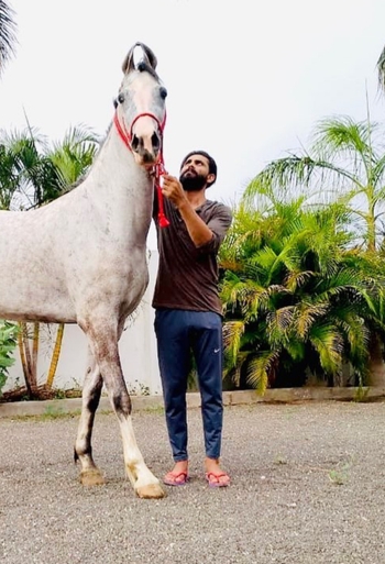 Ravindra Jadeja