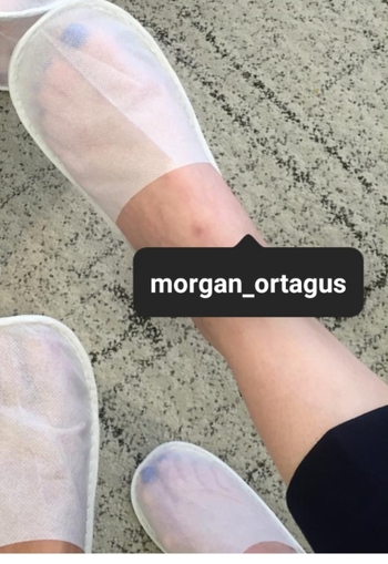 Morgan Ortagus