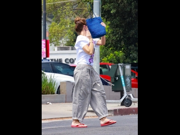 alt="Minka Kelly"