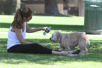 Minka Kelly