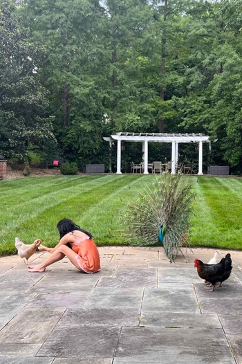 Angie Harmon