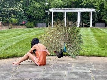 Angie Harmon