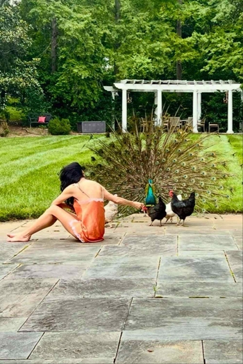 Angie Harmon