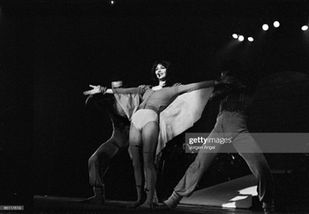 Kate Bush