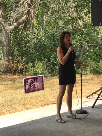 Cheri Bustos