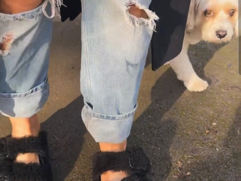 Michelle Collins (I)