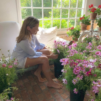 Aerin Lauder