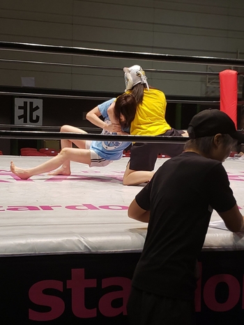 Mayu Iwatani