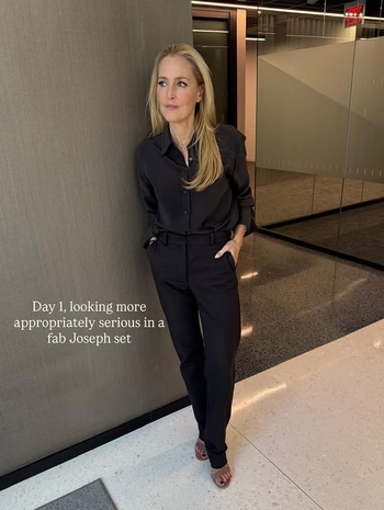 Gillian Anderson (I)