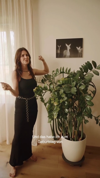 Ines Anioli